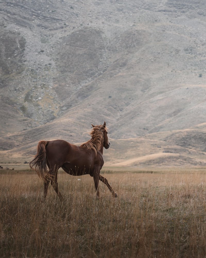 Mindful Movement in Mountains